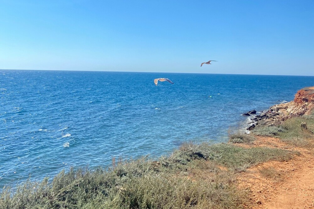 отдых под севастополем